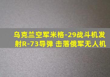 乌克兰空军米格-29战斗机发射R-73导弹 击落俄军无人机